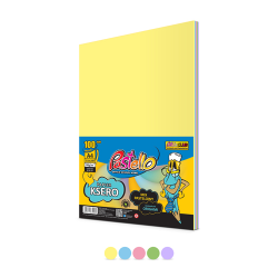 Papier xero kolor PASTELLO A4 80g. mix 5 kolor Pastelowe op.100 PAS-9062