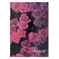 Zeszyt brulion OFFICE PRODUCTS Nature A4 96 kartek - linnia-179627