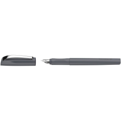 Pióro wieczne SCHNEIDER Ceod Colour, M, szare-280203