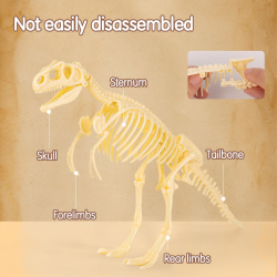 Zestaw do wykopalisk archeologicznych DELI EH769 - Tyranozaur-283822