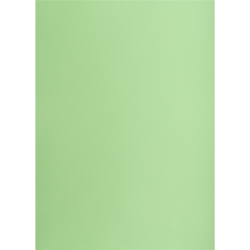 Brystol karton OXFORD Creatino A2 160g. (1 ARKUSZ) - groszkowy nr.69-289415