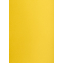 Brystol karton OXFORD Creatino A2 160g. (1 ARKUSZ) - żółty ciemny nr.58-289497